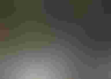 Hotel Jawharat Al-Rasheed Madinah