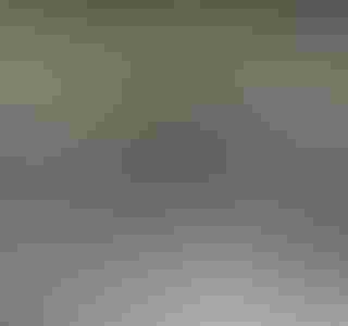 Travel Umroh Lampung All In Paket