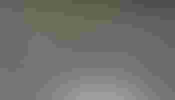 Perbedaan Haji dan Umroh