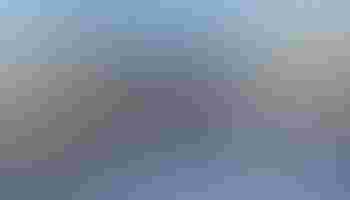 Inilah Rukun Umroh Sesuai Sunnah Yang Wajib Diketahui oleh Calon Jamaah