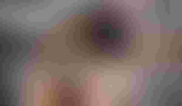 Biaya Umroh 2024 Lampung Terbaru